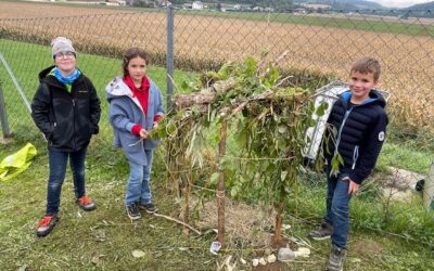 Biodiversitäts-Workshop