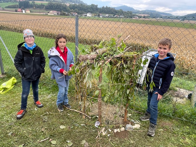 Biodiversitäts-Workshop